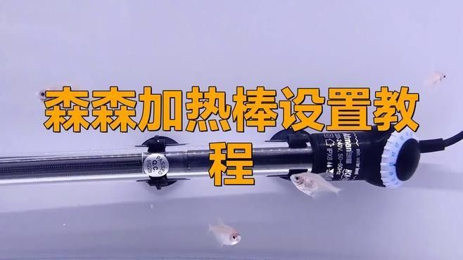如何設置恒溫加熱棒（加熱棒怎么用） 如何設置恒溫加熱棒（加熱棒怎么用） 龍魚百科 第2張