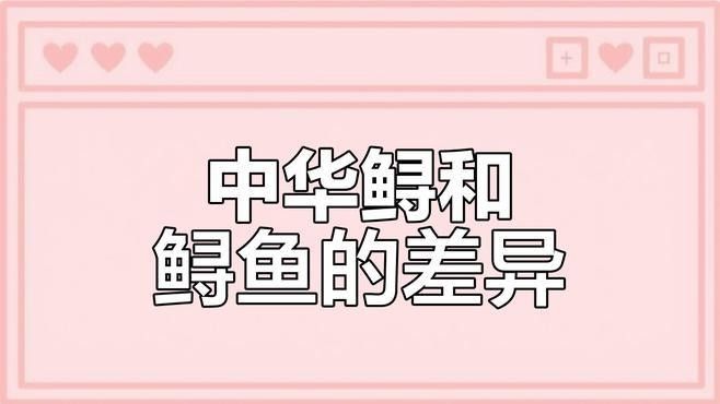 如何區(qū)分中華鱘和鱘龍魚（中華鱘與鱘龍魚的區(qū)別）