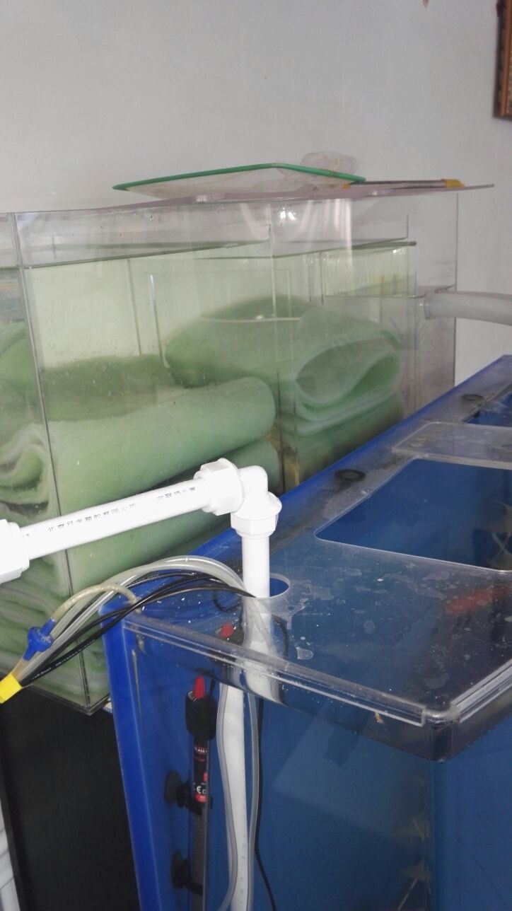 永州觀賞魚市場上過濾改造之前的過濾系統太小了魚屎根本過濾不了小泵抽不上去大泵直接從過濾棉上邊流過（新手養魚之過濾）