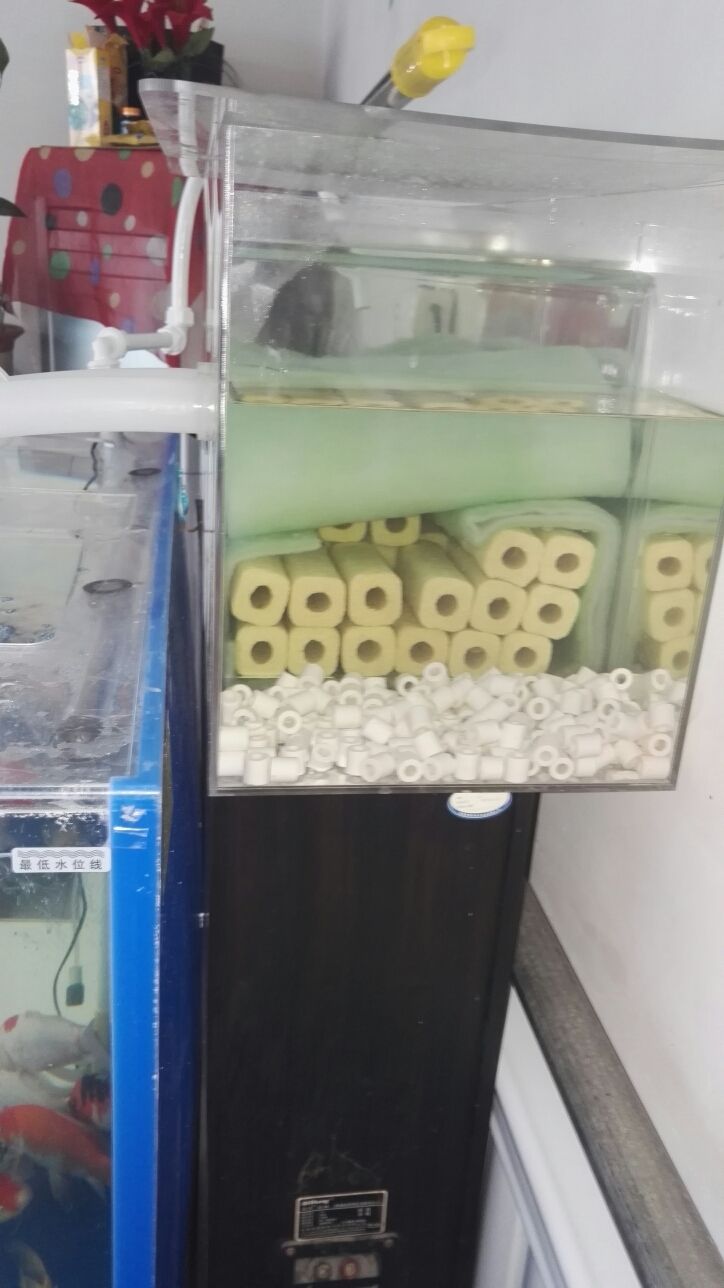 永州觀賞魚市場上過濾改造之前的過濾系統太小了魚屎根本過濾不了小泵抽不上去大泵直接從過濾棉上邊流過（新手養魚之過濾）
