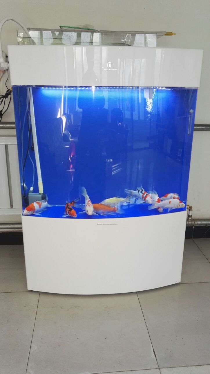 永州觀賞魚市場上過濾改造之前的過濾系統太小了魚屎根本過濾不了小泵抽不上去大泵直接從過濾棉上邊流過（新手養魚之過濾）