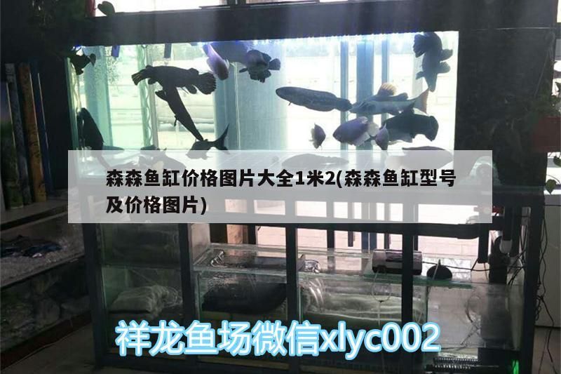 森森魚缸價(jià)格圖片大全1米2(森森魚缸型號(hào)及價(jià)格圖片)（森森魚缸價(jià)格圖片大全1米2）