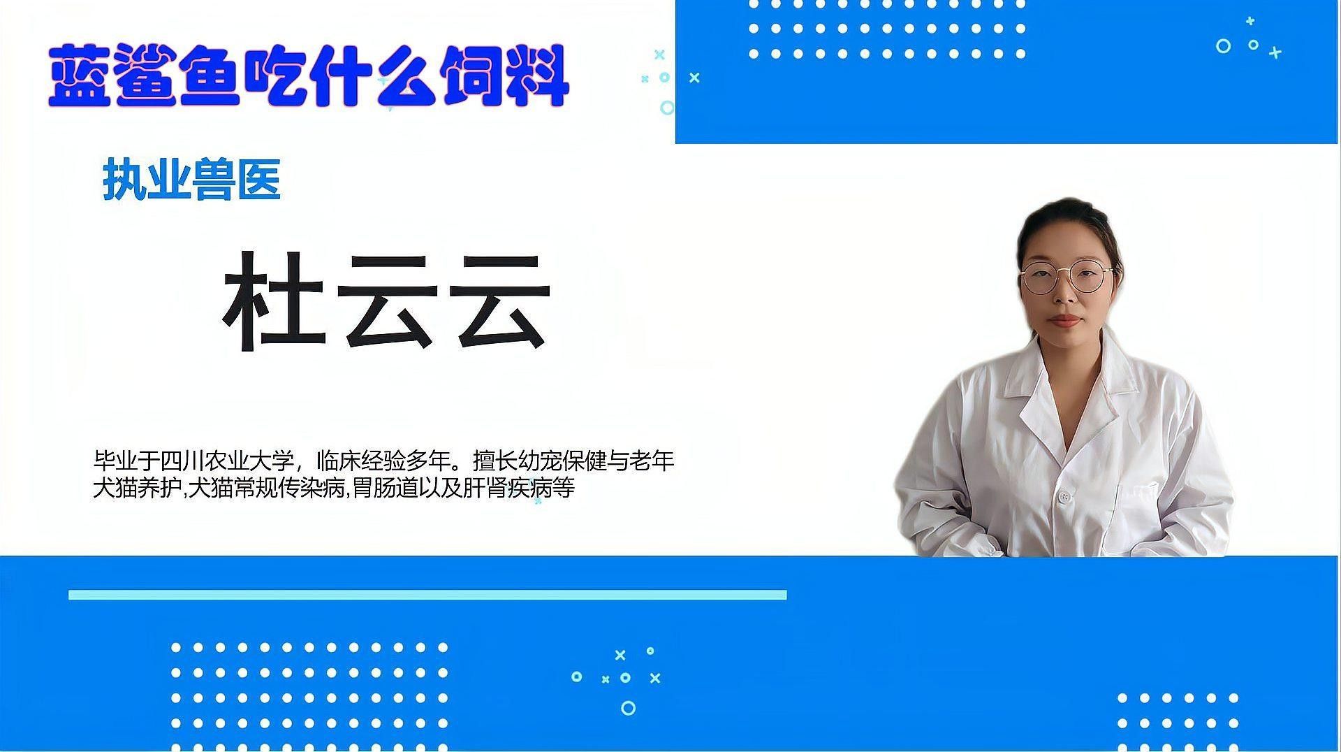 金龍魚和藍鯊的食物選擇（開封市社科聯揭秘金龍魚快速成長秘訣:科學喂食與慢養原則）