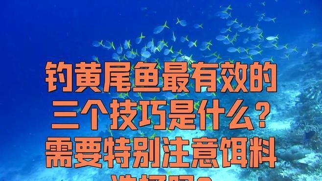 黃尾龍魚的市場需求如何（黃尾龍魚的市場需求呈現出多樣化的特點）