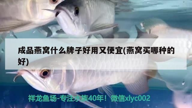 成品燕窩什么牌子好用又便宜(燕窩買哪種的好)（成品燕窩什么牌子好用又便宜）