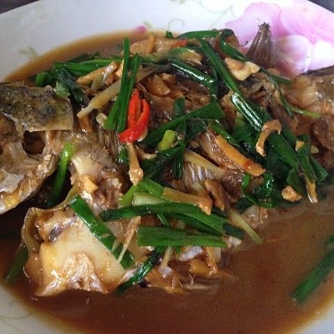 金龍魚煮時需要放哪些調料（烹飪金龍魚時常用的調料搭配）