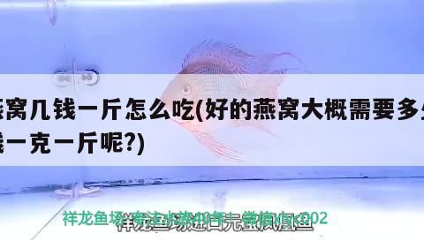 記錄第65天（祥龍水族聯(lián)盟魚友怎么評(píng)論的====）