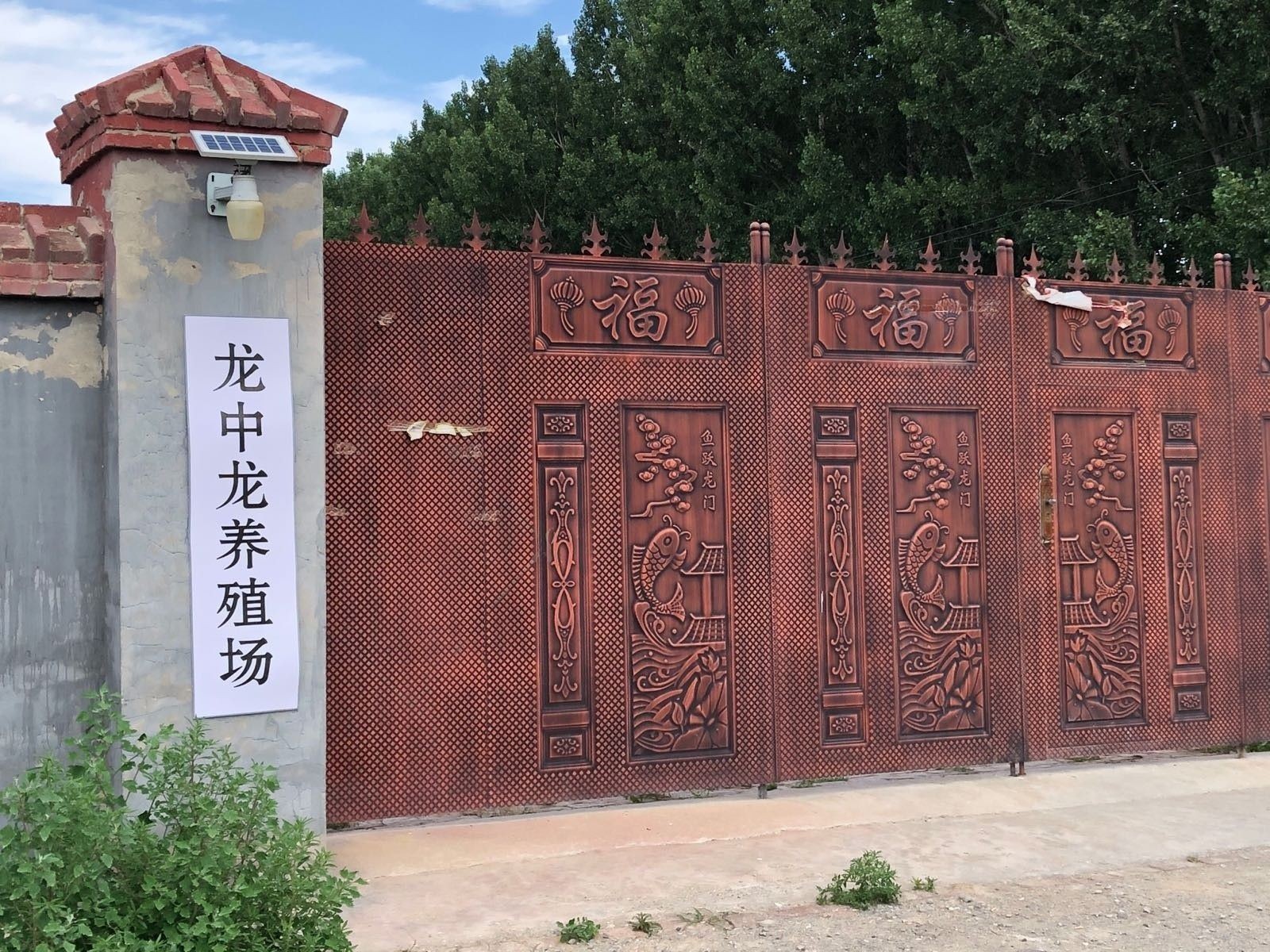 太仆寺哪個(gè)水族館龍魚好？祥龍魚場龍魚（北京祥龍魚場水族館）