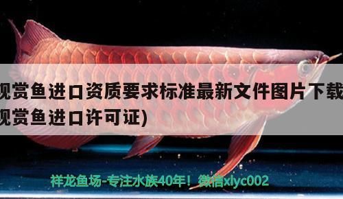 觀賞魚(yú)進(jìn)口資質(zhì)要求標(biāo)準(zhǔn)最新文件圖片下載(觀賞魚(yú)進(jìn)口許可證)（觀賞魚(yú)進(jìn)口資質(zhì)要求最新文件圖片下載(觀賞魚(yú)進(jìn)口資質(zhì)要求）