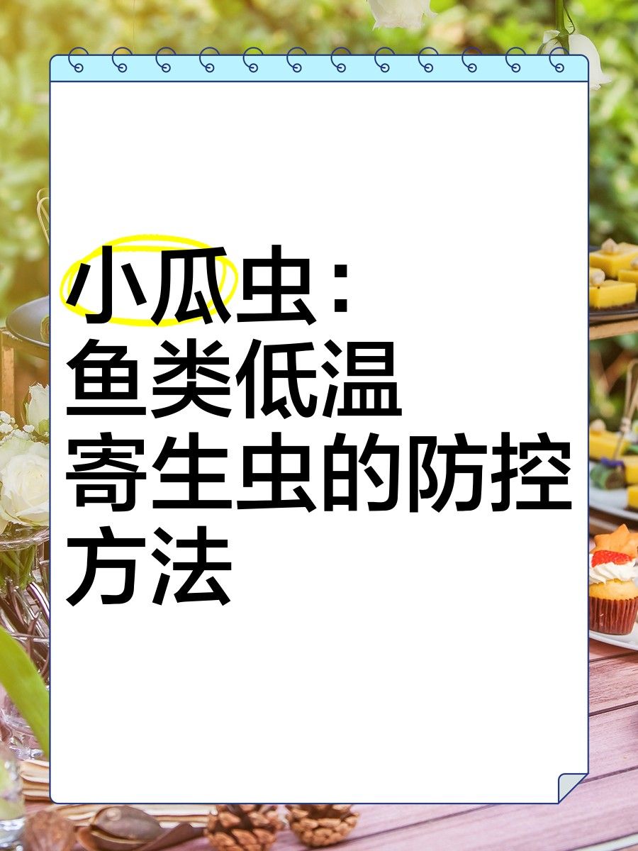 如何預防龍魚的小瓜蟲病（觀賞魚生了白點病(怎么預防小瓜蟲病治療三大方法） 如何預防龍魚的小瓜蟲?。ㄓ^賞魚生了白點病(怎么預防小瓜蟲病治療三大方法） 龍魚百科 第4張