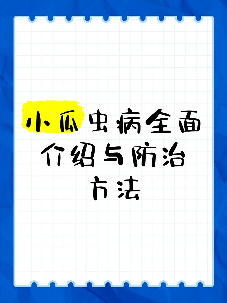 如何預防龍魚的小瓜蟲?。ㄓ^賞魚生了白點病(怎么預防小瓜蟲病治療三大方法） 如何預防龍魚的小瓜蟲?。ㄓ^賞魚生了白點病(怎么預防小瓜蟲病治療三大方法） 龍魚百科 第5張