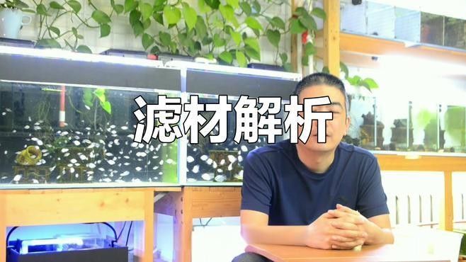 如何判斷魚缸的質量（買魚缸要注意什么）