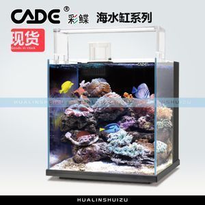 帝王三間能和銀龍魚(yú)混養(yǎng)嗎（帝王三間魚(yú)可以和銀龍魚(yú)混養(yǎng)嗎）