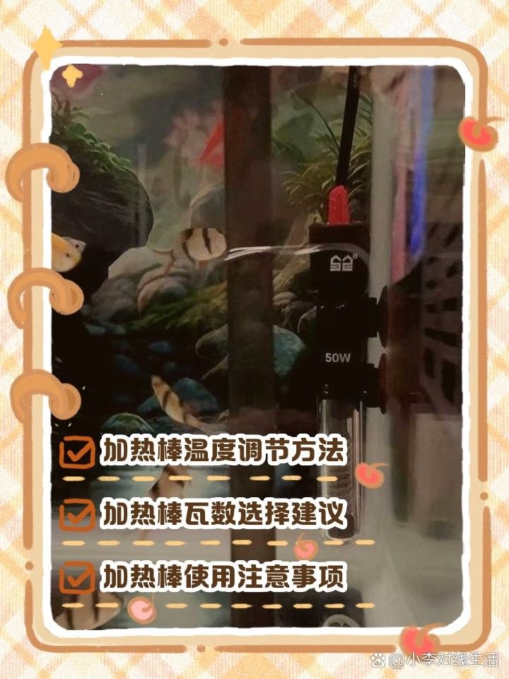 如何設置加熱棒以保持水溫穩定（如何正確設置加熱棒以保持水溫穩定）
