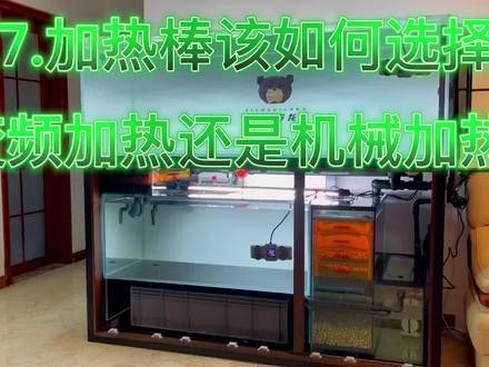龍魚加熱棒一般多少錢？
