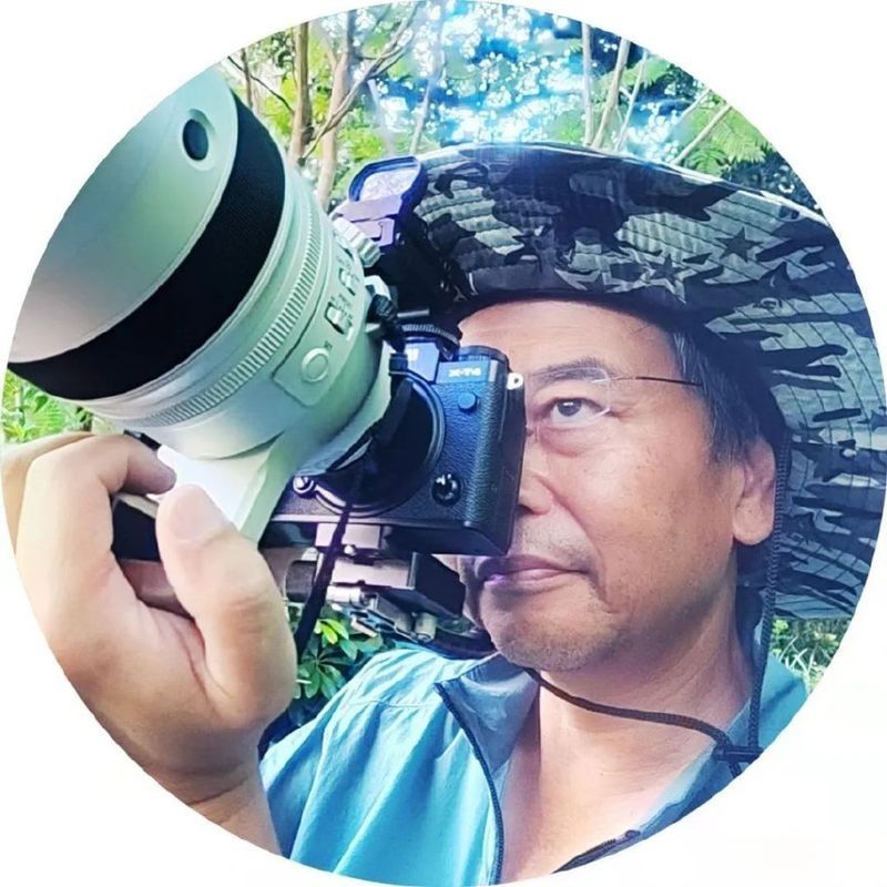 富士X-T4曝光平滑設置方法 富士X-T4曝光平滑設置方法 龍魚百科 第9張