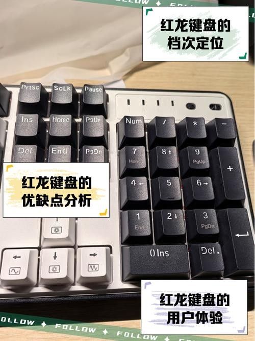 龍魚腹水腫能治愈嗎，龍魚腹水腫的急救步驟清單