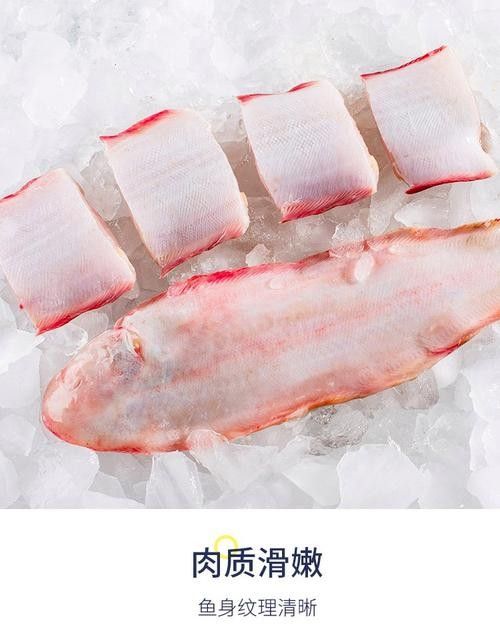 如何區(qū)分金龍魚(yú)和龍利魚(yú)（金龍魚(yú)和龍利魚(yú)的區(qū)別）