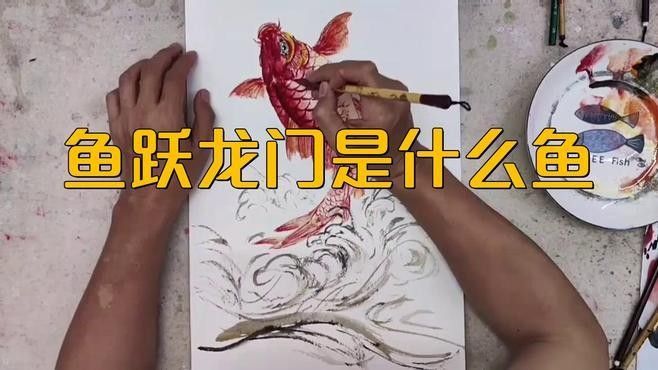 過山龍魚具體指哪種魚類？
