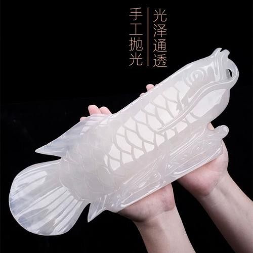 白玉龍魚的價格是多少？（白玉龍魚養殖攻略:白玉龍魚價格受多種因素影響）