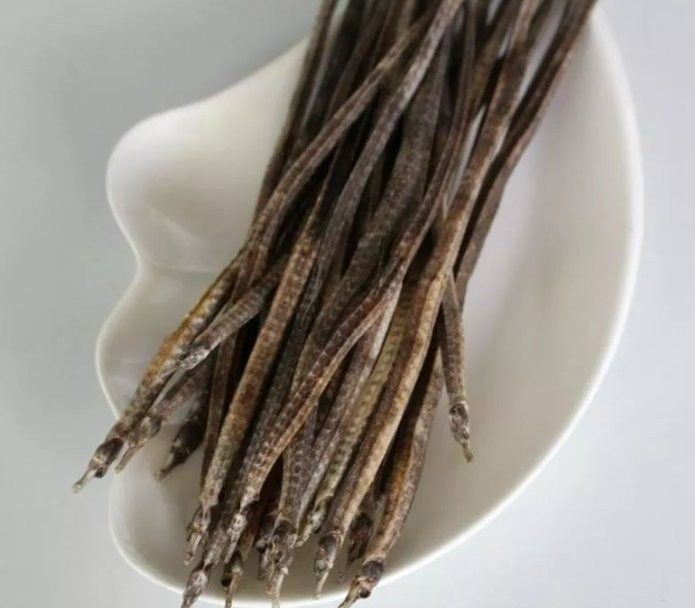 海龍魚煲湯的禁忌人群（海龍魚煲湯有5類人可不能亂喝湯這些人可不能亂喝） 海龍魚煲湯的禁忌人群（海龍魚煲湯有5類人可不能亂喝湯這些人可不能亂喝） 龍魚百科 第4張