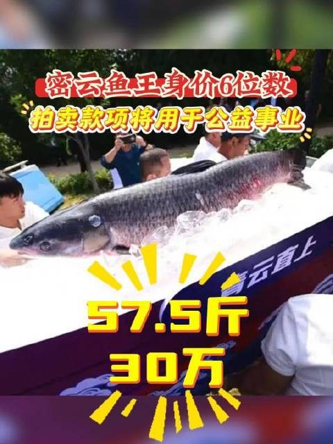 北京乾坤龍魚漁場的價格如何？（北京乾坤龍魚漁場價格如何，）