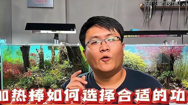 如何選擇適合1.8米魚缸的加熱棒？（1.8米魚缸加熱棒時需要考慮幾個關鍵因素以確保水質適宜和魚類健康）