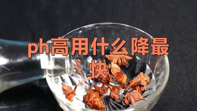 如何驗證祥龍魚場證書的真偽？，如何確認祥龍魚場證書的真偽？