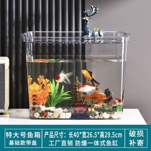 推薦幾款適合六角龍的魚缸（幾款適合六角龍的水族缸推薦）