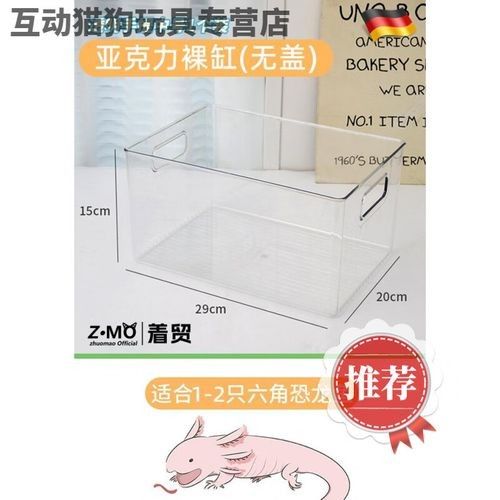推薦幾款適合六角龍的魚缸（幾款適合六角龍的水族缸推薦）