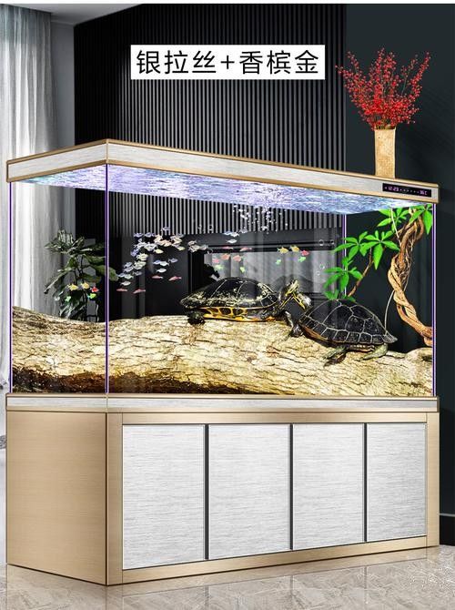 推薦幾款適合六角龍的魚缸（幾款適合六角龍的水族缸推薦）