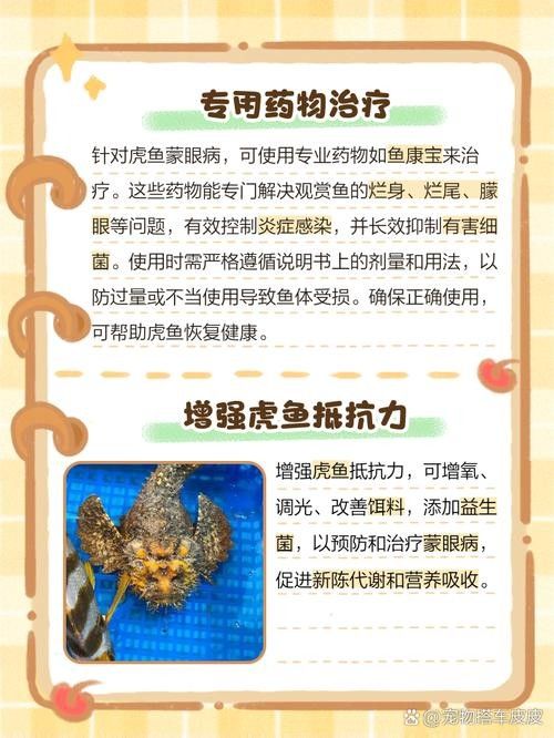 如何預防龍魚凸眼的發生（龍魚凸眼是什么原因） 如何預防龍魚凸眼的發生（龍魚凸眼是什么原因） 龍魚百科 第3張