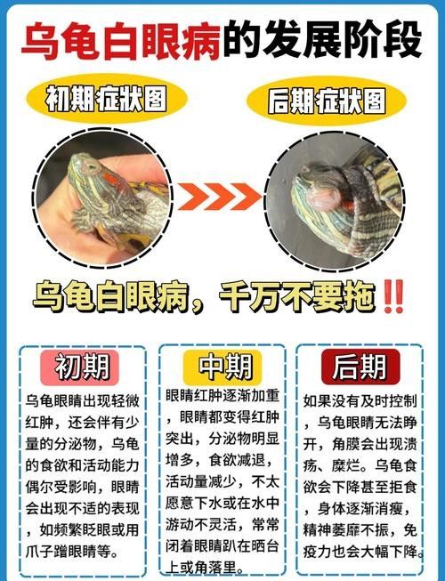 如何預防龍魚凸眼的發生（龍魚凸眼是什么原因） 如何預防龍魚凸眼的發生（龍魚凸眼是什么原因） 龍魚百科 第1張