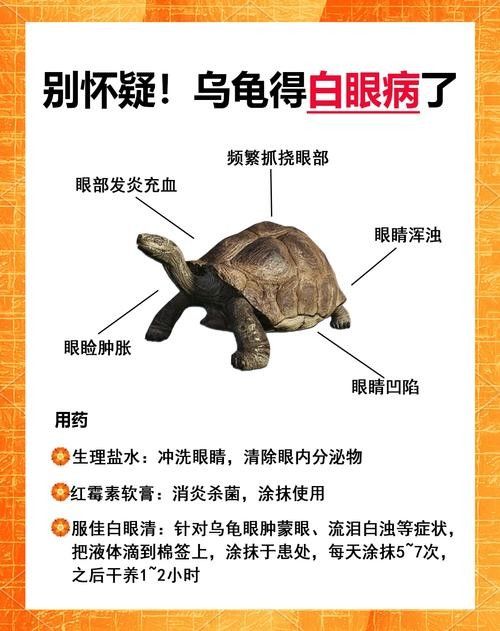 如何預防龍魚凸眼的發生（龍魚凸眼是什么原因） 如何預防龍魚凸眼的發生（龍魚凸眼是什么原因） 龍魚百科 第5張