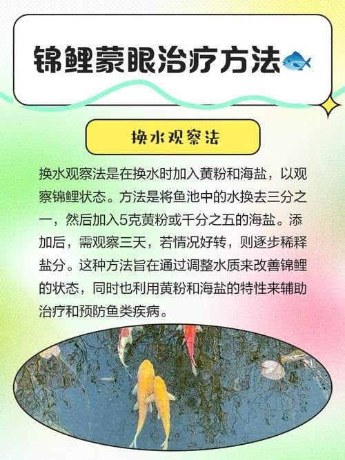 如何預防龍魚凸眼的發生（龍魚凸眼是什么原因） 如何預防龍魚凸眼的發生（龍魚凸眼是什么原因） 龍魚百科 第6張