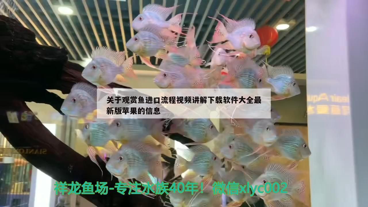 關(guān)于觀賞魚進(jìn)口流程視頻講解下載軟件大全最新版蘋果的信息（觀賞魚進(jìn)口流程視頻講解下載軟件大全最新版蘋果）