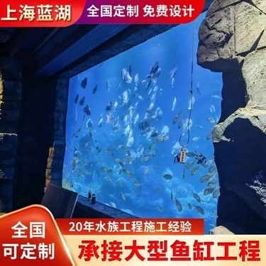 金龍魚的市場價格是多少，金龍魚市場價格因品種、品種、品種、品相優(yōu)劣和市場陷阱