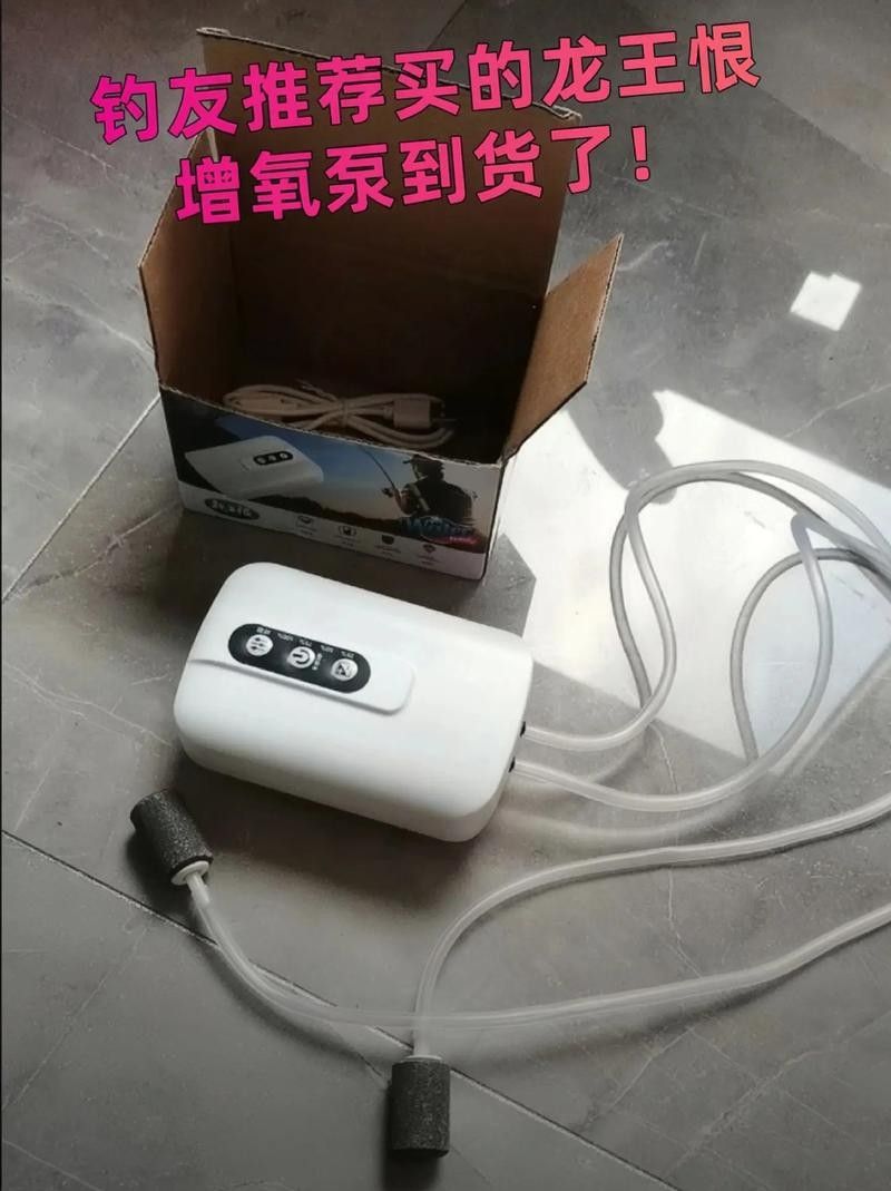 金龍魚打氧用什么設備好 金龍魚打氧用什么設備好 龍魚百科 第3張