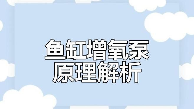 金龍魚打氧用什么設備好 金龍魚打氧用什么設備好 龍魚百科 第12張