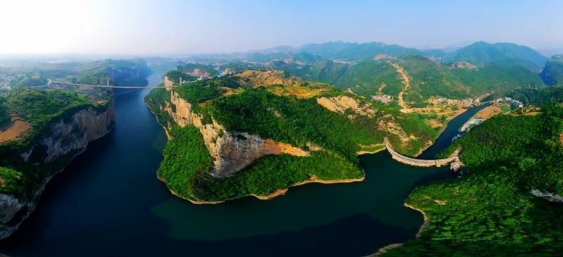 除了上述餐廳，還有哪些地方可以吃到龍魚