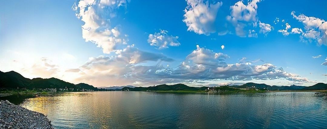 除了上述餐廳，還有哪些地方可以吃到龍魚