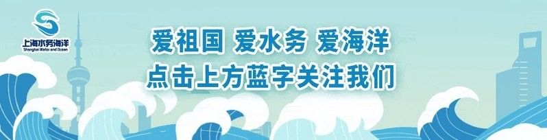 除了上述餐廳，還有哪些地方可以吃到龍魚