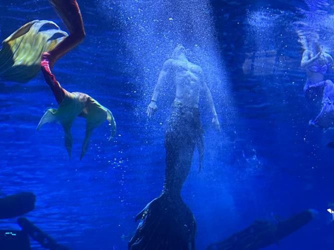 融水哪個水族館龍魚好？祥龍魚場龍魚 融水哪個水族館龍魚好？祥龍魚場龍魚 龍魚百科 第1張