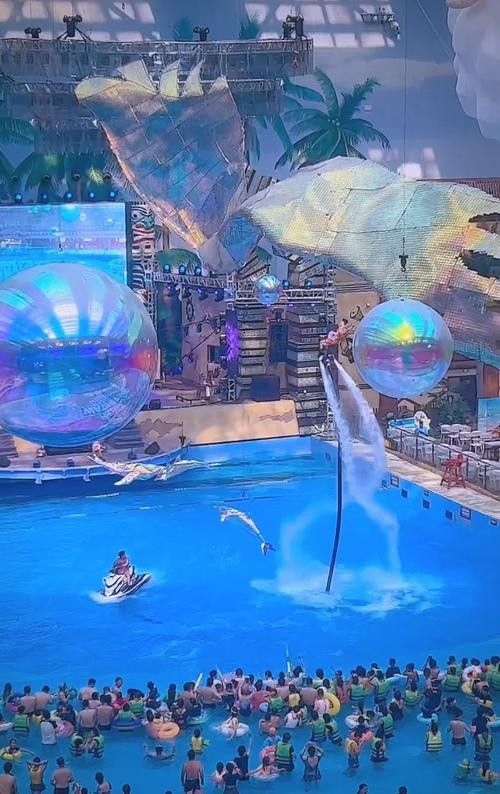融水哪個水族館龍魚好？祥龍魚場龍魚 融水哪個水族館龍魚好？祥龍魚場龍魚 龍魚百科 第2張