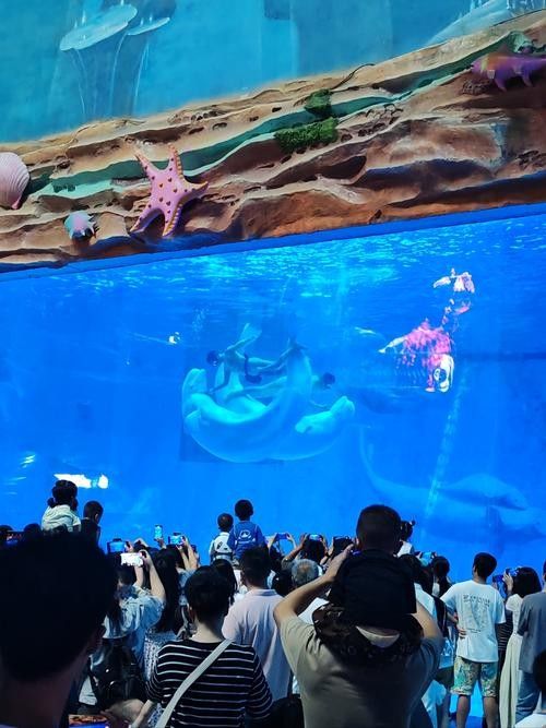 融水哪個水族館龍魚好？祥龍魚場龍魚 融水哪個水族館龍魚好？祥龍魚場龍魚 龍魚百科 第5張