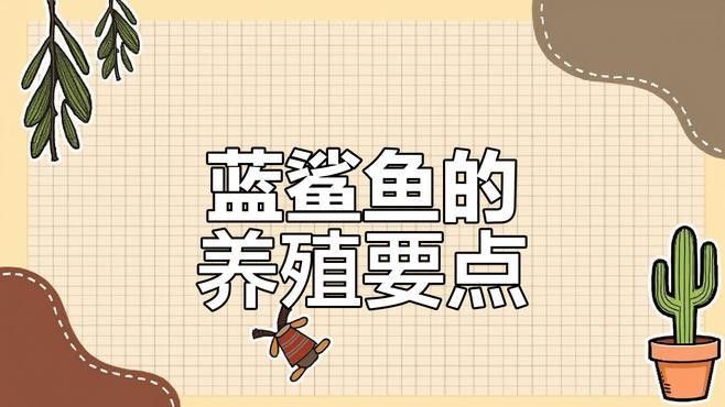 有哪些適合與藍鯊混養(yǎng)的魚類？
