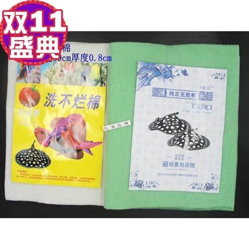 龍魚過濾棉多久換一次