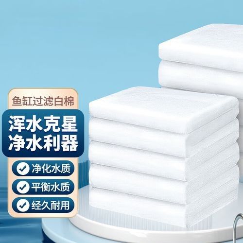 龍魚過濾棉多久換一次