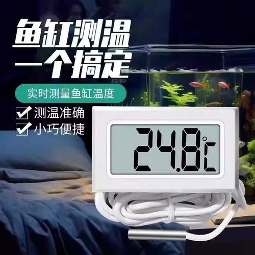 金龍魚溫度計推薦品牌有哪些（康泰納仕魚缸溫度計測溫度計選擇指南）