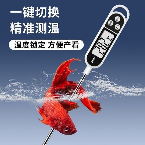 金龍魚溫度計推薦品牌有哪些（康泰納仕魚缸溫度計測溫度計選擇指南）